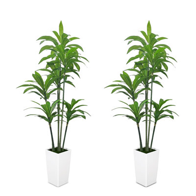 60'' Faux Dracaena Tree in Pot