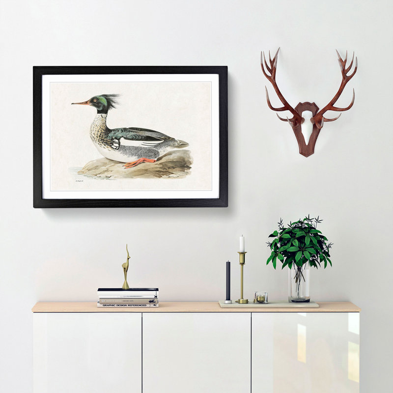Merganser Diving Duck by Von Wright - Picture Frame Painting Print, 27cm H x 36cm W x 2cm D, Black Framed