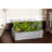 Succulent Garden with Concrete Planter