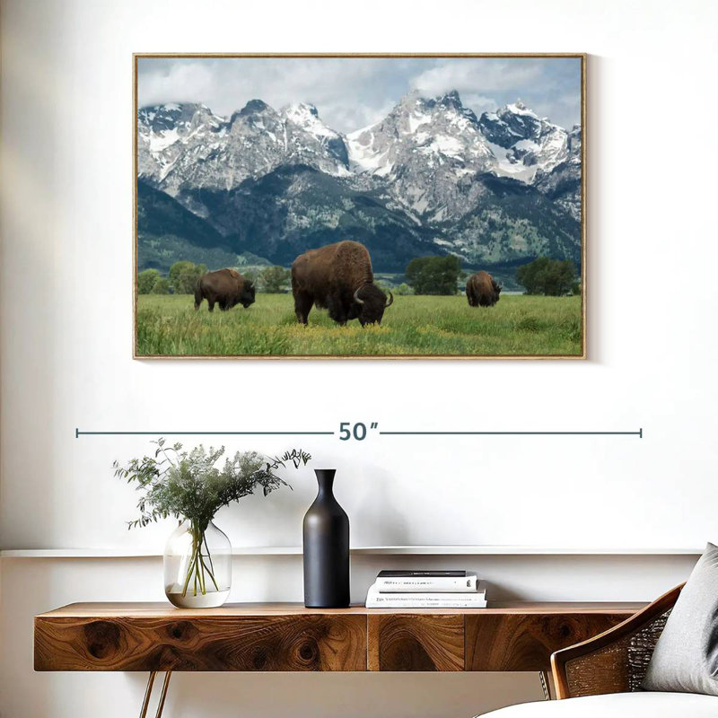 Bison Teton broutant, Cadre flottant en bois naturel, 40 po x 27 po