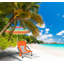 Folding Camping Chair-70000069