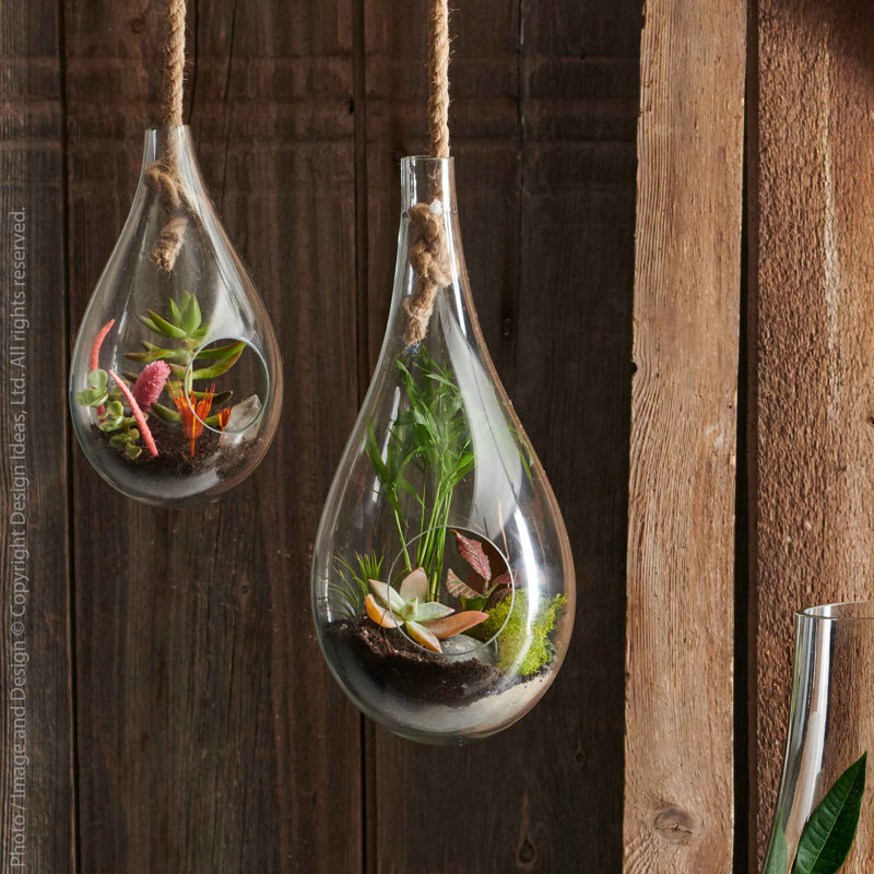 Terrarium en verre Boboli
