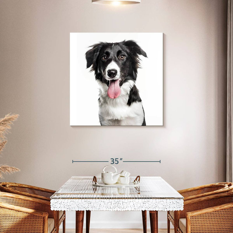 Crowle Border Collie, H 36 po x l 36 po