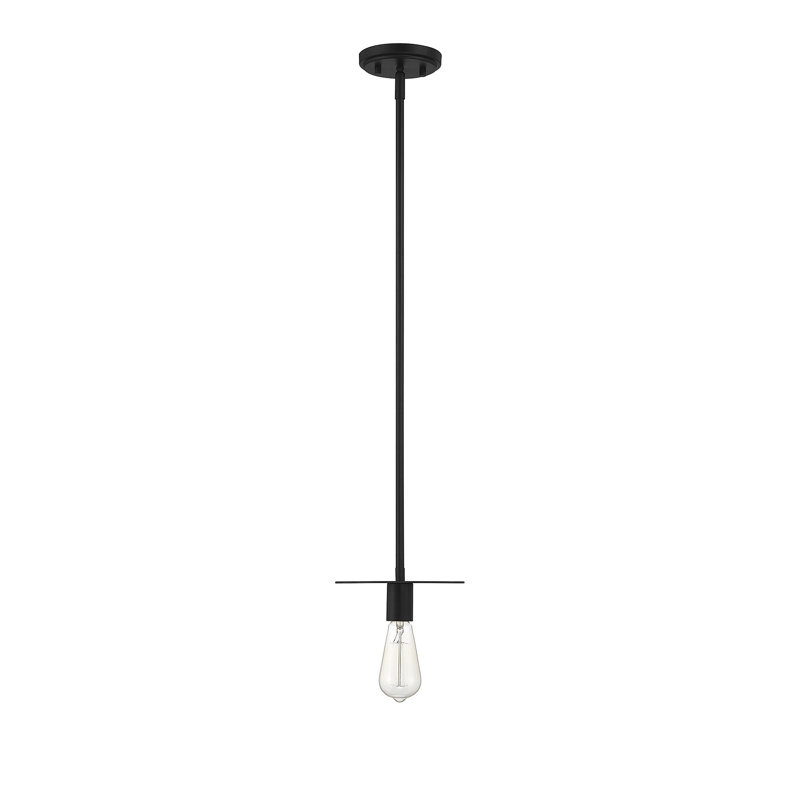 Luminaire suspendu à 1 lumière Thane, Noir mat