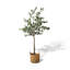 Arbre d'intérieur Simulation Eucalyptus