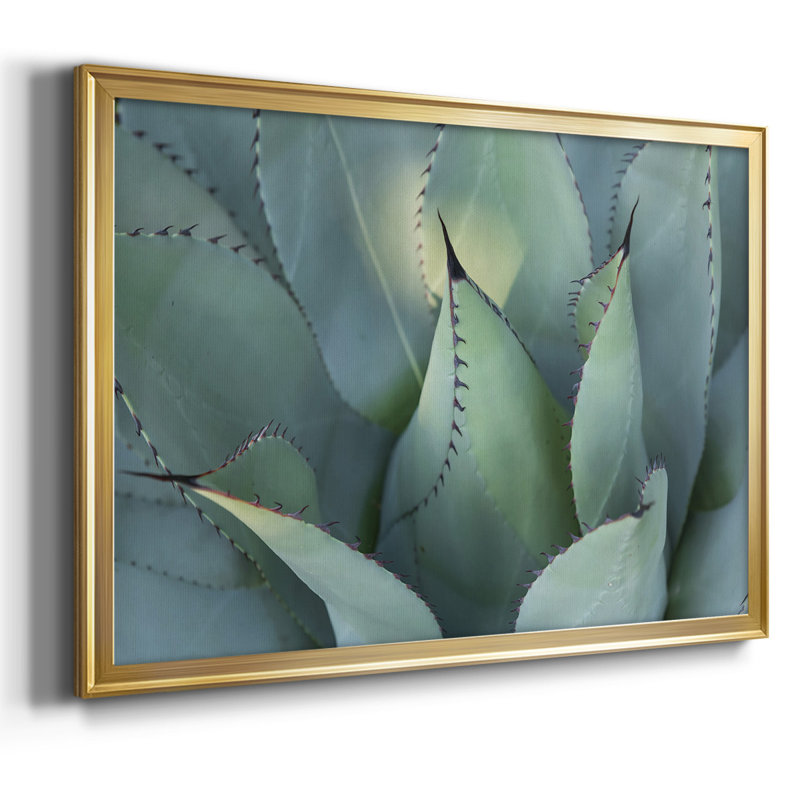 Blue Agave I, reproduction d'art sur toile, Or, H 14 po x l 20 po x P 1,5 po