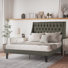Cambridge Upholstered Tufted Wingback Platform Bed with Solid Deck (8" Leg), Queen Size