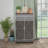 Elegant Mirrored Shoe Storage Cabinet With Frosted Glass And Adjustable Shelves