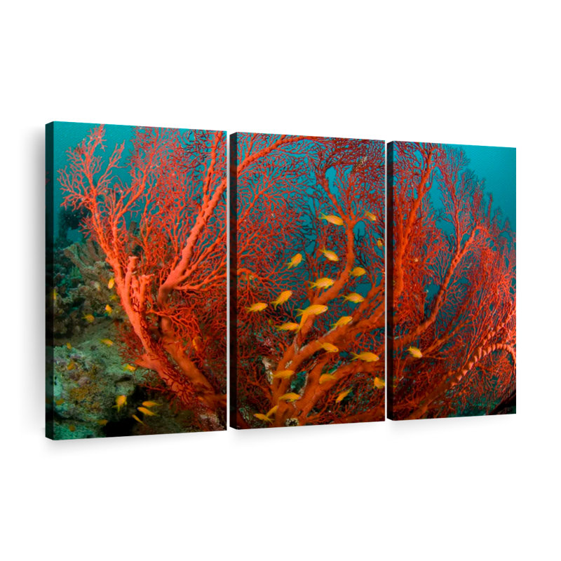 «Corail de feu» 3 pièces, H 28 po x l 45 po 