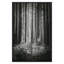 Lowland Winter Forest No 13, Tiger Mountain Print by Bisig, Steve-781909820