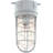 Houser 1-Light Indoor or Outdoor Silver Gray Aluminum Convertible Flush Mount Ceiling Fixture (Wall Mount Sconce) with Clear Glass Rounded Cylindrical Shade