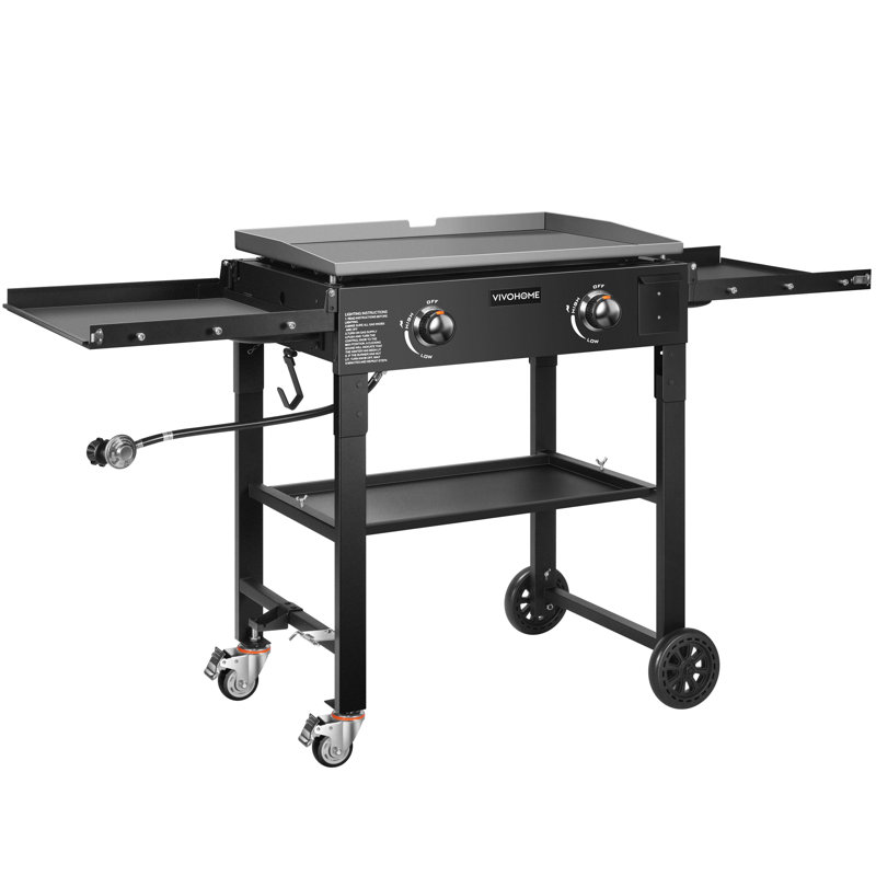 Barbecue portatif au propane à 2 brûleurs 30 000 BTU