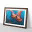 Pink Jellyfish - Picture Frame Painting Print-56632855-56632858