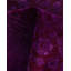 Kiyanne One-of-a-Kind 9' 1" X 12' 5" Hand Knotted Area Rug