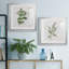 «Kitchen Garden I», ensemble de 2 reproductions d'art encadrées-2054049732-2054049729-2054049730