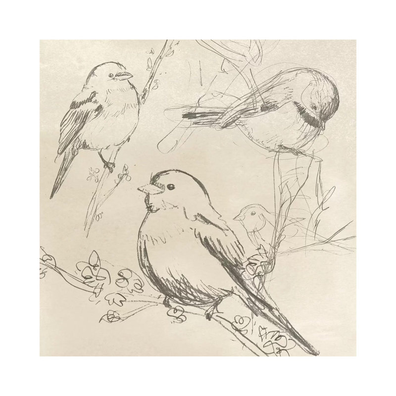 Vintage Songbird Sketch II by June Erica Vess - Wrapped Canvas Print, 30.48 cm H x 30.48 cm W