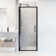 Astoria 76" H Framed Sliding  Pivot Shower Door with 5/16" Clear Glass