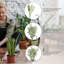 Ensemble de 6 piquets de jardin Teilynn