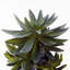 Analyssa 60cm Faux Foliage Plant in Pot