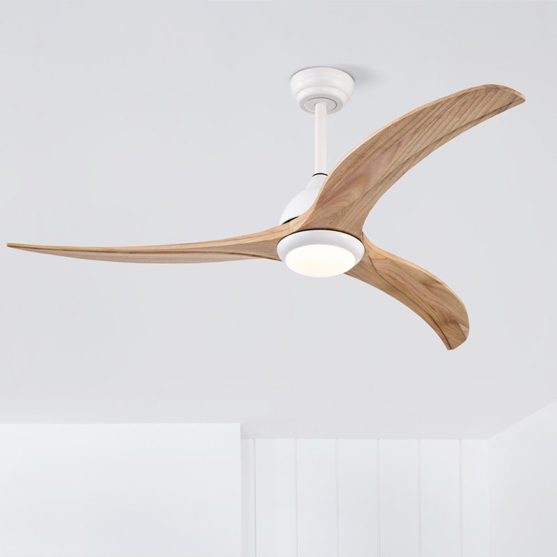 Ventilateur de plafond 52 po, Blanc, Bois naturel