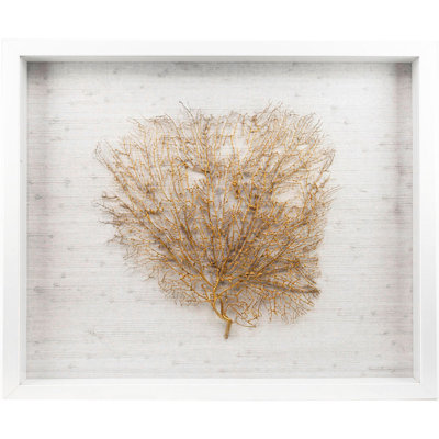 Sealife - Shadow Box Print