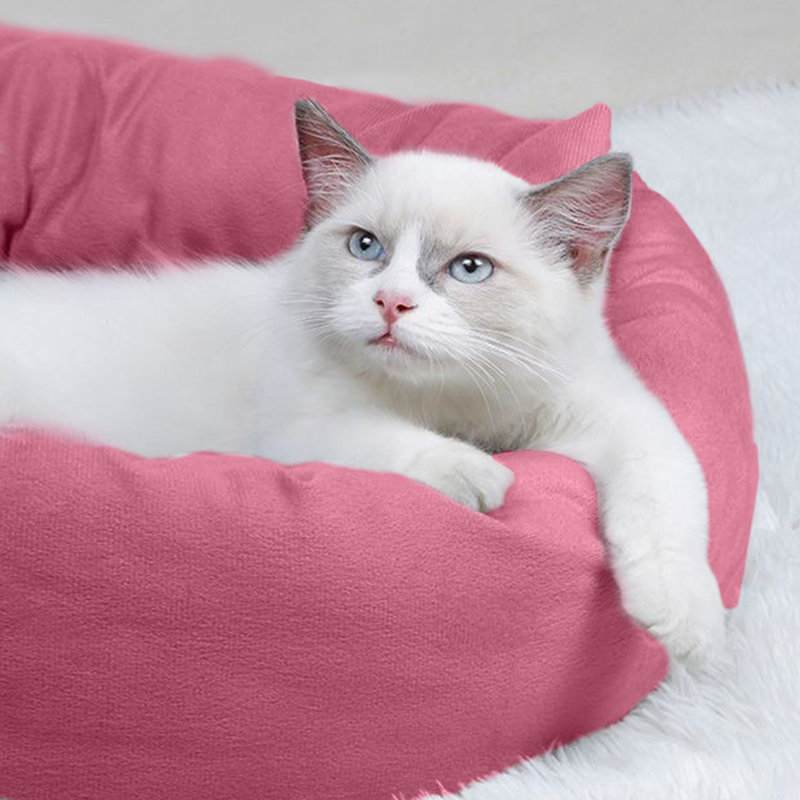 Coussin rond pour chien 19,7 x 19,7 x 3,9 po, Rose