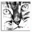 «Cat Face» par Pechane-1628450482