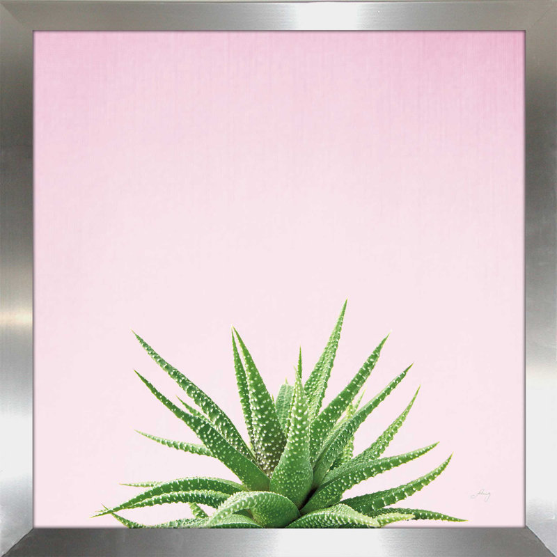 Photographie sur toile encadrée succulent simplicité, H 21,5 po x l 21,5 po x P 0,75 po, Encadrement argenté
