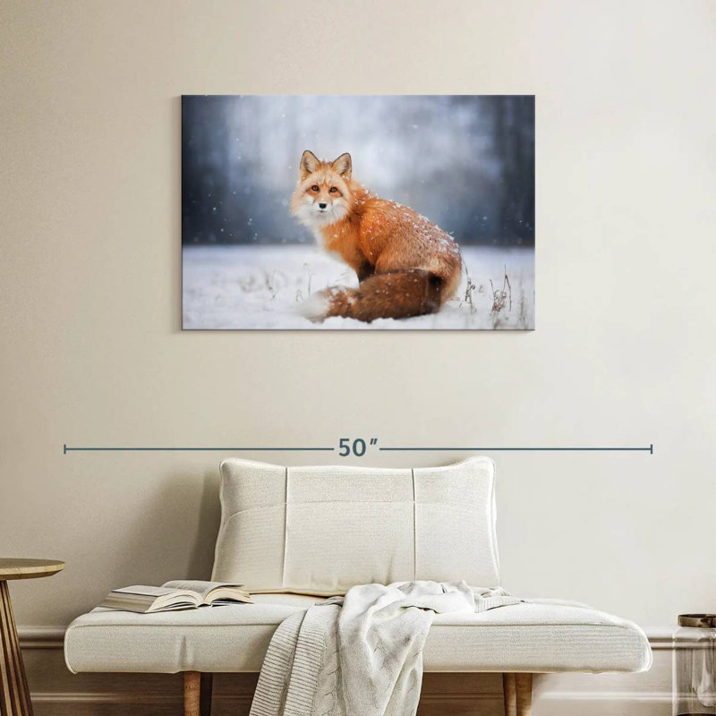 Portrait de petit renard roux Brampt, H 24 po x l 36 po
