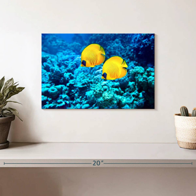 Brampt Underwater Butterflyfish Duo, 8" H x 12" W