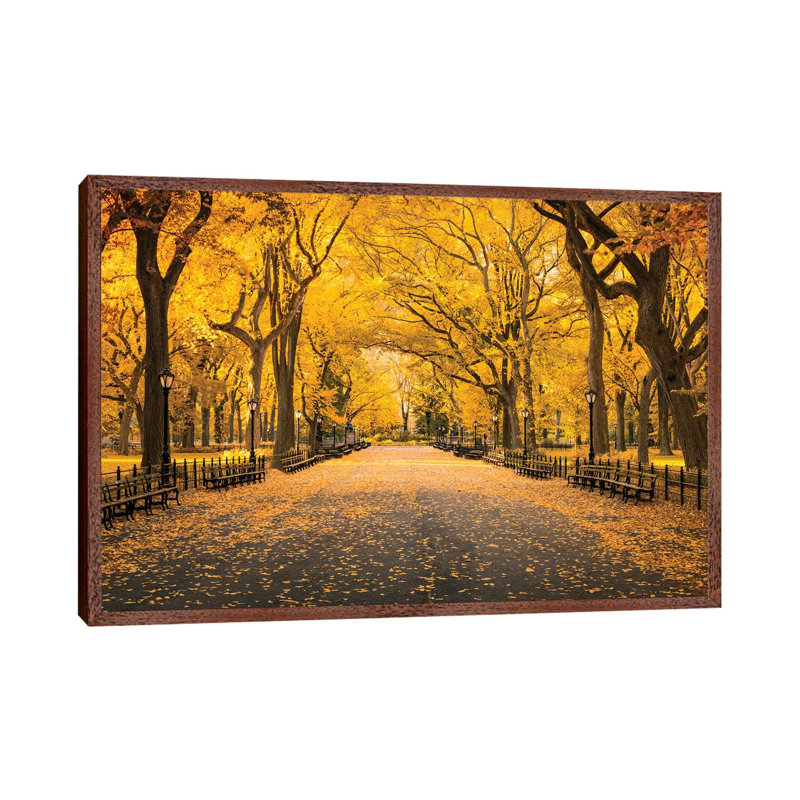 Central Park In Autumn by Jan Becke - Print on Canvas, 45.72cm H x 66.04cm W x 3.81cm D, Brown Framed