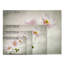 « anemones », impression sur toile-29604811