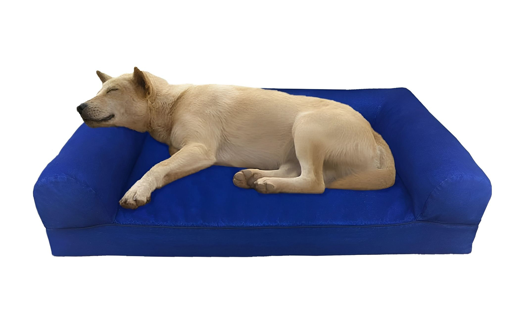 Dogbed4less Orthopedic Dog Pillow 3