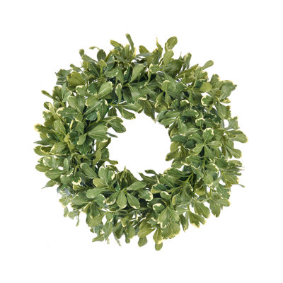 Pittosporum Spray Wreath