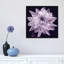 « white dahlia i », impression sur toile-1252343059-1337742776-1337742779