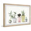 Stylish Succulent Pots - Single Picture Frame Painting-414664715