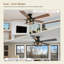 132.08 cm Ceiling Fan with Light Kit
