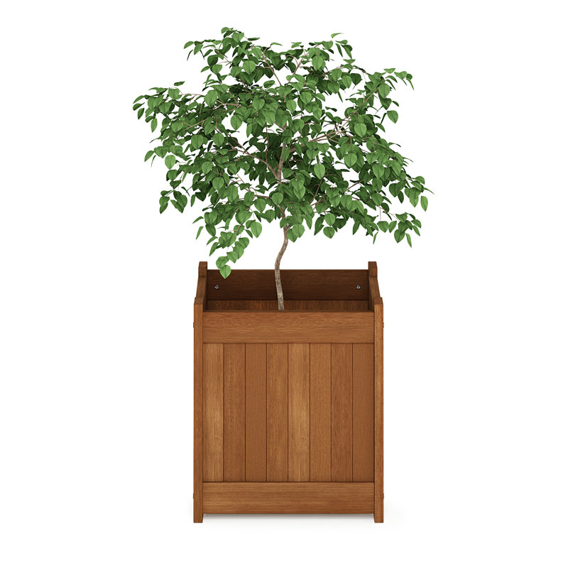 Jardinière surélevée en bois Ermont - conception sans fond, 1