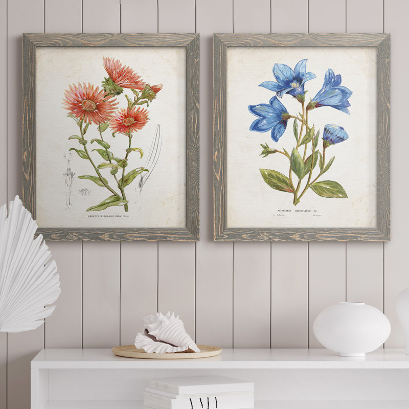 «Botanical I», ensemble de 2 reproductions d'art, Pas de tapis, Toile avec cadre gris, H 20 po x l 17 po x P 1 po