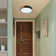 Eulane 1-Light 30cm LED Flush Mount Ceiling Light