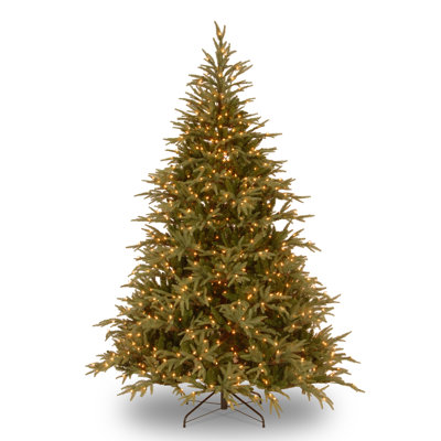 Jersey Flocked 10' Pre-Lit Fir Christmas Tree