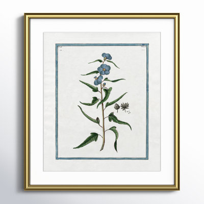 Colombe "Shabby Elegance Botanical I" Print