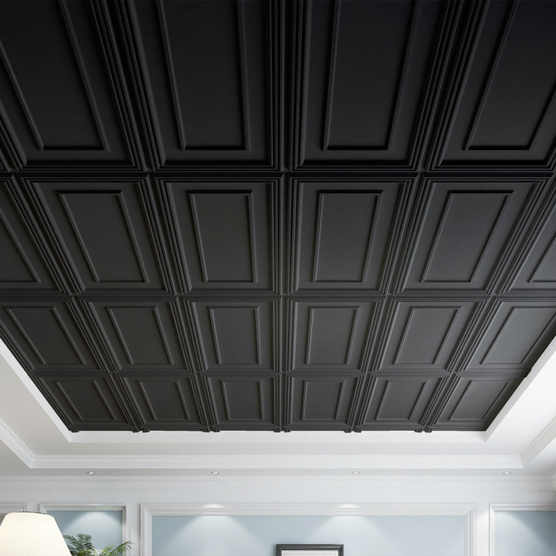 Carreau de plafond en PVC 4 pi x 2 pi, Noir, noir, noir, noir