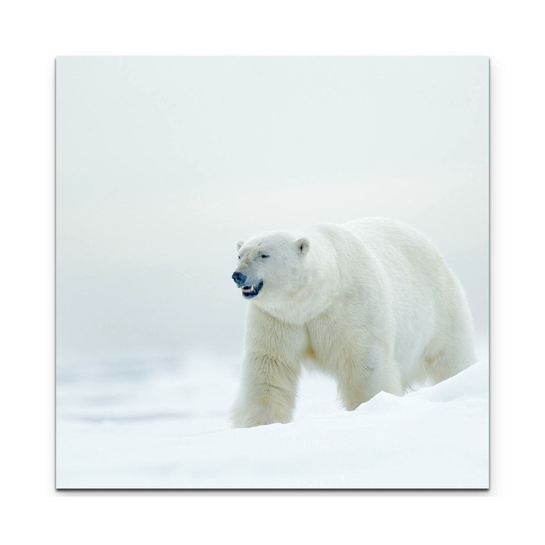 Leinwandbild Eisbär im Schnee