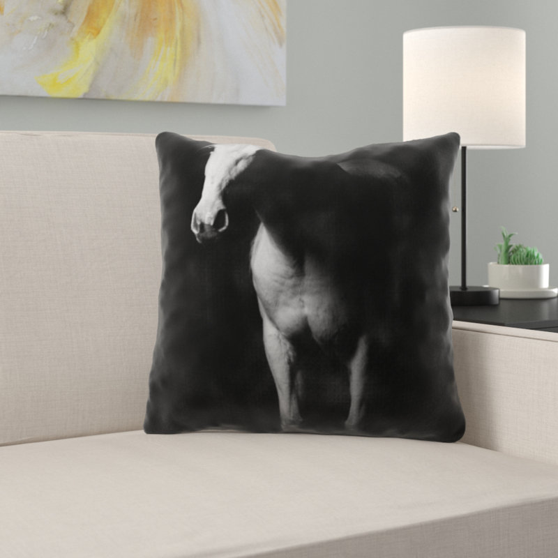 Coussin décoratif