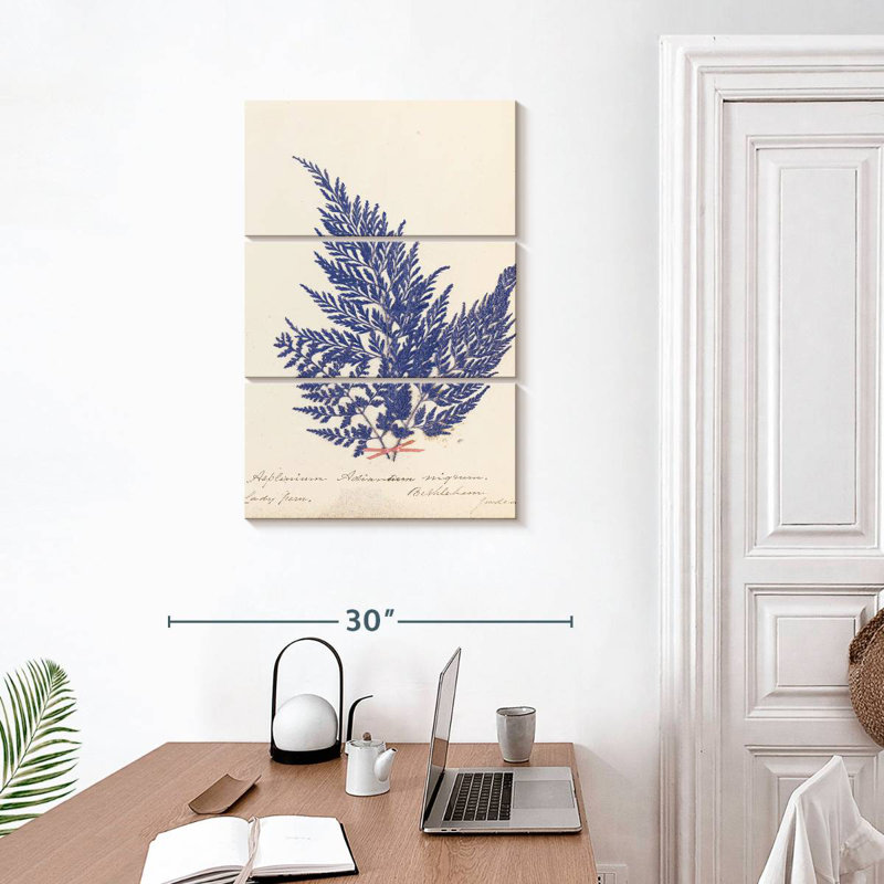 Harnek Botanical Fern II