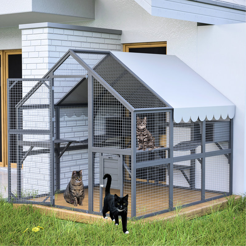 Grande enceinte extérieure en bois pour chats