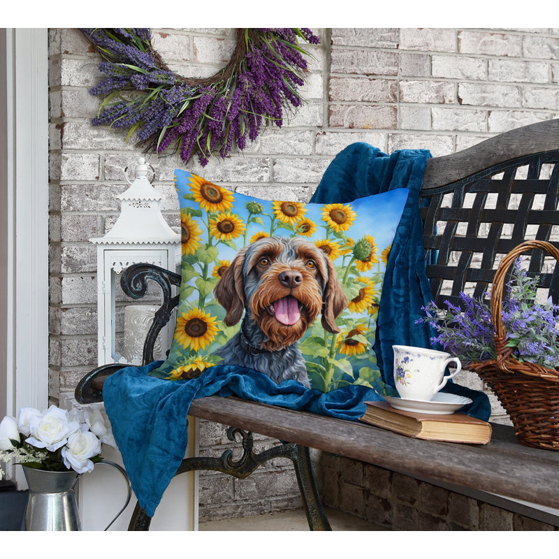 Other/No Pattern Outdoor Throw Pillow, 18" H x 18" W