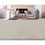 Area Rug in Beige