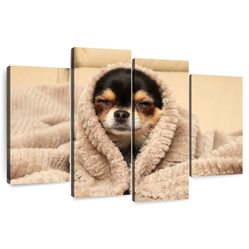 Brampt Cozy Chihuahua Dog, 27'' H x 43'' W